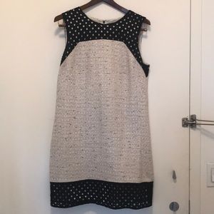Ann Taylor Twead Dress